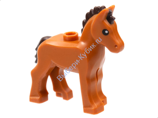 Лошадь, жеребенок Цвет Темно-Оранжевый 
