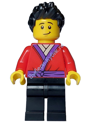 Минифигурка Лего Ниндзяго Роби njo0914