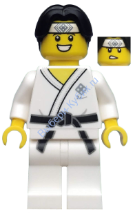 Минифигурки Лего - Martial Arts Boy, Series 20 (Только минифигурка без подставки и аксессуаров)